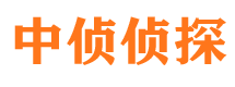 彭阳找人公司